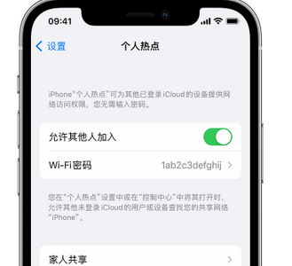 贡山apple服务站点分享iPhone上个人热点丢失了怎么办 