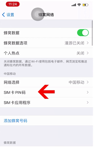 贡山苹果14维修网分享如何给iPhone14的SIM卡设置密码 