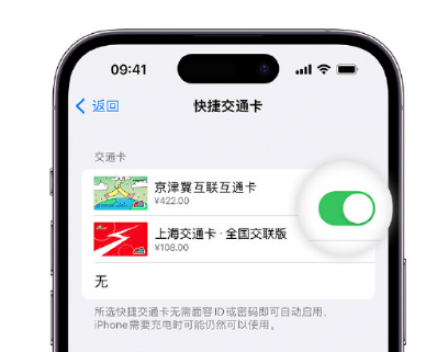 贡山apple维修点分享iPhone上更换Apple Pay快捷交通卡手绘卡面 