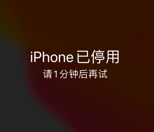 贡山苹果手机维修分享:iPhone 显示“不可用”或“已停用”怎么办？还能保留数据吗？ 