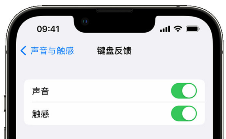 贡山苹果手机维修分享iPhone 14触感键盘使用方法 