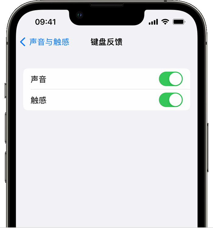 贡山苹果14维修店分享如何在 iPhone 14 机型中使用触感键盘 