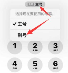 贡山苹果14维修店分享iPhone 14 Pro Max使用副卡打电话的方法 