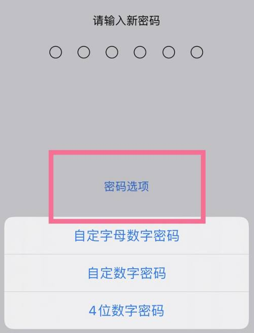 贡山苹果14维修分享iPhone 14plus设置密码的方法 