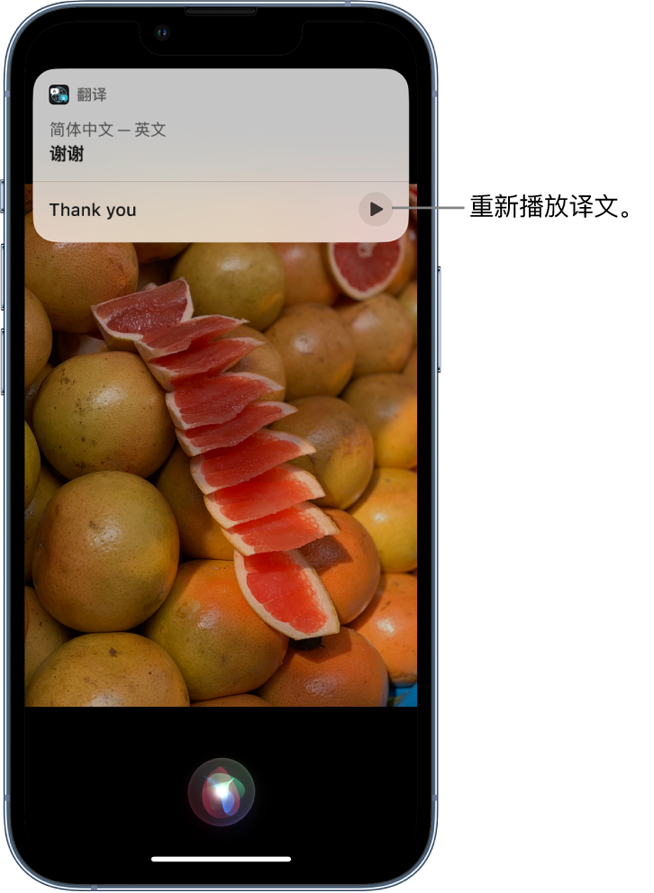 贡山苹果14维修分享 iPhone 14 机型中使用 Siri：了解 Siri 能帮你做什么 