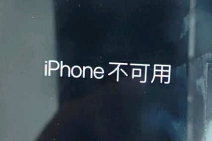 贡山苹果服务网点分享锁屏界面显示“iPhone 不可用”如何解决 