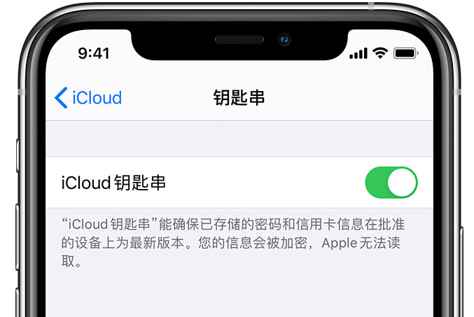 贡山苹果手机维修分享在 iPhone 上开启 iCloud 钥匙串之后会储存哪些信息 